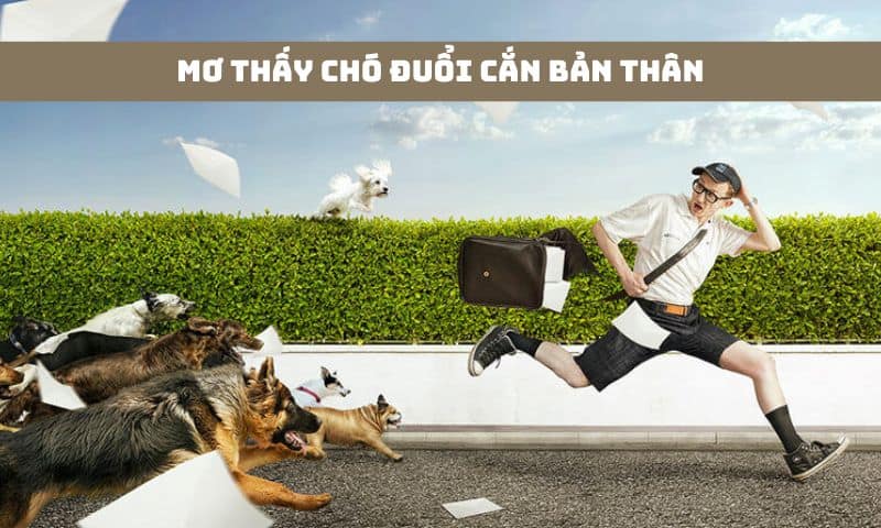 Nằm mơ thấy chó đuổi, cắn